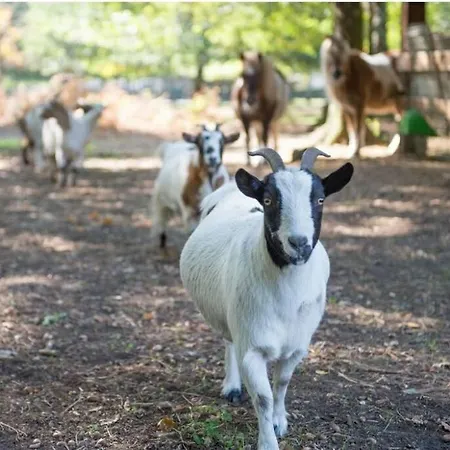 A Supprimer 度假居 *