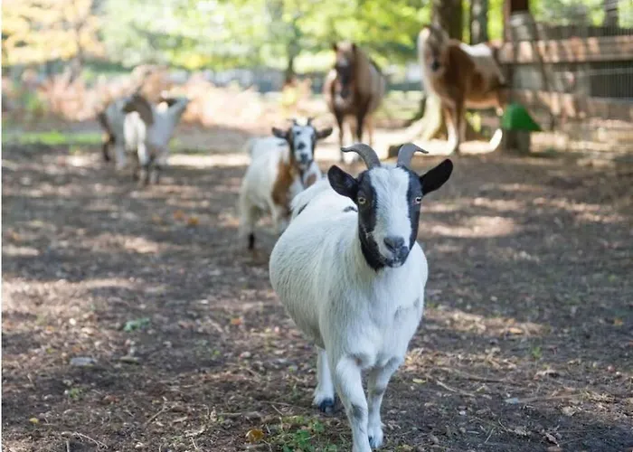 A Supprimer 度假居 *